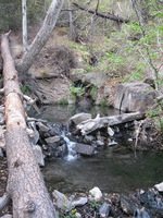 Canon PowerShot A590 IS, 2009:04:23 18:43:41 -- 1/60 sec, f/2.6.  No Flash, Auto.3264x2448 Red-Eye Reduction (Auto).