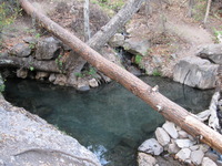 Canon PowerShot A590 IS, 2009:04:23 18:43:52 -- 1/50 sec, f/2.6.  No Flash, Auto.3264x2448 Red-Eye Reduction (Auto).