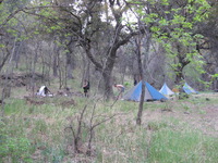 Canon PowerShot A590 IS, 2009:04:23 18:49:36 -- 1/50 sec, f/2.6.  No Flash, Auto.3264x2448 Red-Eye Reduction (Auto).