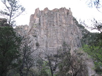 Canon PowerShot A590 IS, 2009:04:23 18:49:45 -- 1/60 sec, f/2.6.  No Flash, Auto.3264x2448 Red-Eye Reduction (Auto).