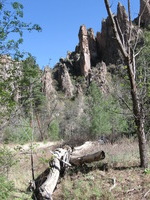 Canon PowerShot A590 IS, 2009:04:24 09:52:14 -- 1/320 sec, f/4.0.  No Flash, Auto.3264x2448 Red-Eye Reduction (Auto).