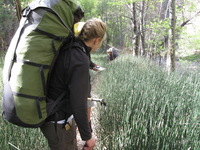 Canon PowerShot A590 IS, 2009:04:24 10:08:52 -- 1/60 sec, f/3.5.  No Flash, Auto.3264x2448 Red-Eye Reduction (Auto).