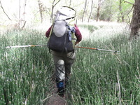 Canon PowerShot A590 IS, 2009:04:24 10:09:04 -- 1/60 sec, f/3.2.  No Flash, Auto.3264x2448 Red-Eye Reduction (Auto).