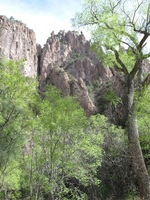 Canon PowerShot A590 IS, 2009:04:24 10:15:38 -- 1/200 sec, f/4.0.  No Flash, Auto.3264x2448 Red-Eye Reduction (Auto).