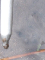 Canon PowerShot A590 IS, 2009:04:24 10:23:50 -- 1/40 sec, f/5.5.  No Flash, Compulsory.3264x2448 Off.