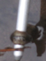 Canon PowerShot A590 IS, 2009:04:24 10:23:56 -- 1/60 sec, f/5.5.  No Flash, Compulsory.3264x2448 Off.