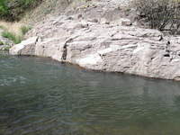 Canon PowerShot A590 IS, 2009:04:24 11:02:53 -- 1/320 sec, f/4.0.  No Flash, Auto.3264x2448 Red-Eye Reduction (Auto).