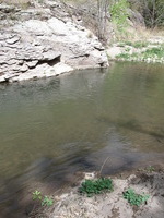 Canon PowerShot A590 IS, 2009:04:24 11:03:01 -- 1/320 sec, f/4.0.  No Flash, Auto.3264x2448 Red-Eye Reduction (Auto).