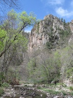 Canon PowerShot A590 IS, 2009:04:24 11:19:47 -- 1/400 sec, f/4.0.  No Flash, Auto.3264x2448 Red-Eye Reduction (Auto).