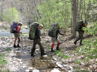 Canon PowerShot A590 IS, 2009:04:24 11:19:54 -- 1/160 sec, f/4.0.  No Flash, Auto.3264x2448 Red-Eye Reduction (Auto).