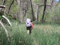 Canon PowerShot A590 IS, 2009:04:24 11:29:00 -- 1/320 sec, f/4.0.  No Flash, Auto.3264x2448 Red-Eye Reduction (Auto).