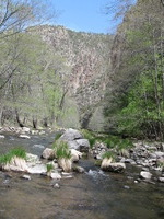 Canon PowerShot A590 IS, 2009:04:24 12:24:15 -- 1/250 sec, f/4.0.  No Flash, Auto.3264x2448 Red-Eye Reduction (Auto).