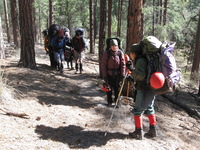 Canon PowerShot A590 IS, 2009:04:27 09:35:31 -- 1/100 sec, f/4.0.  No Flash, Auto.3264x2448 Red-Eye Reduction (Auto).