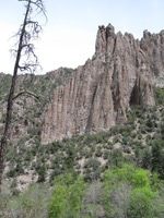 Canon PowerShot A590 IS, 2009:04:27 13:23:50 -- 1/400 sec, f/4.0.  No Flash, Auto.3264x2448 Red-Eye Reduction (Auto).