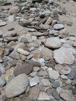 Canon PowerShot A590 IS, 2009:04:27 13:48:29 -- 1/1000 sec, f/4.0.  No Flash, Auto.3264x2448 Red-Eye Reduction (Auto).