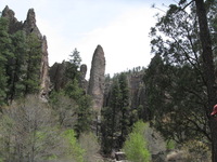 Canon PowerShot A590 IS, 2009:04:27 13:57:52 -- 1/400 sec, f/4.0.  No Flash, Auto.3264x2448 Red-Eye Reduction (Auto).