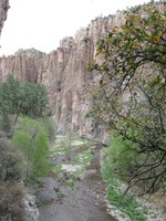 Canon PowerShot A590 IS, 2009:04:27 15:09:48 -- 1/160 sec, f/4.0.  No Flash, Auto.3264x2448 Red-Eye Reduction (Auto).