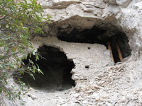 Canon PowerShot A590 IS, 2009:04:27 15:11:46 -- 1/60 sec, f/4.0.  No Flash, Auto.3264x2448 Red-Eye Reduction (Auto).