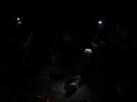 Canon PowerShot A590 IS, 2009:04:28 21:10:04 -- 1/8 sec, f/2.8.  No Flash, Compulsory.3264x2448 Off.