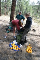 Canon EOS DIGITAL REBEL, 2009:04:28 12:22:42 -- 1/125 sec, f/7.1.  No Flash.3072x2048 Off.