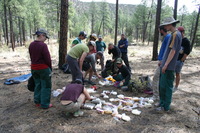 Canon EOS DIGITAL REBEL, 2009:04:28 12:23:58 -- 1/125 sec, f/7.1.  No Flash.3072x2048 Off.