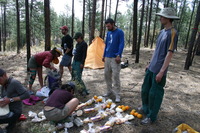 Canon EOS DIGITAL REBEL, 2009:04:28 12:26:00 -- 1/160 sec, f/8.0.  No Flash.3072x2048 Off.