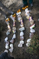 Canon EOS DIGITAL REBEL, 2009:04:28 12:26:15 -- 1/200 sec, f/8.0.  No Flash.3072x2048 Off.