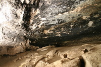 Canon EOS DIGITAL REBEL, 2009:04:28 17:14:15 -- 1/15 sec, f/3.5.  No Flash.3072x2048 Off.