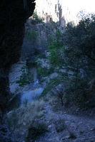 Canon EOS DIGITAL REBEL, 2009:04:29 20:08:15 -- 1/50 sec, f/4.5.  No Flash.3072x2048 Off.