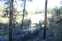 Canon EOS DIGITAL REBEL, 2009:04:29 20:46:19 -- 1/60 sec, f/5.6.  No Flash.3072x2048 Off.