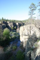 Canon EOS DIGITAL REBEL, 2009:04:29 20:50:10 -- 1/100 sec, f/5.6.  No Flash.3072x2048 Off.