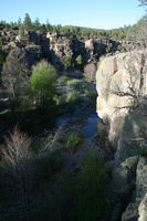 Canon EOS DIGITAL REBEL, 2009:04:29 20:50:14 -- 1/100 sec, f/6.3.  No Flash.3072x2048 Off.