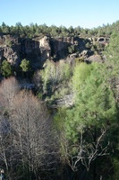 Canon EOS DIGITAL REBEL, 2009:04:29 20:54:42 -- 1/100 sec, f/6.3.  No Flash.3072x2048 Off.