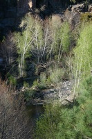 Canon EOS DIGITAL REBEL, 2009:04:29 20:54:48 -- 1/100 sec, f/7.1.  No Flash.3072x2048 Off.