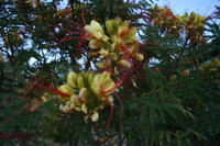 Canon EOS DIGITAL REBEL, 2009:04:30 22:01:41 -- 1/30 sec, f/3.5.  No Flash.3072x2048 Off.