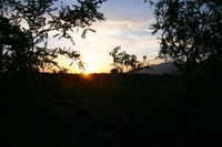 Canon EOS DIGITAL REBEL, 2009:04:30 22:02:20 -- 1/100 sec, f/6.3.  No Flash.3072x2048 Off.