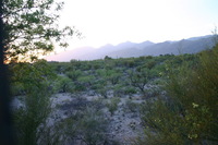 Canon EOS DIGITAL REBEL, 2009:04:30 22:02:45 -- 1/25 sec, f/3.5.  No Flash.3072x2048 Off.