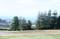 Canon EOS DIGITAL REBEL, 2009:10:03 14:34:44 -- 1/250 sec, f/11.0.  No Flash.3072x2048 Off.