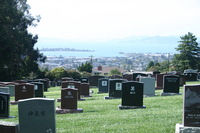 Canon EOS DIGITAL REBEL, 2009:10:03 15:15:37 -- 1/250 sec, f/11.0.  No Flash.3072x2048 Off.