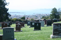 Canon EOS DIGITAL REBEL, 2009:10:03 15:15:47 -- 1/125 sec, f/8.0.  No Flash.3072x2048 Off.