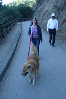 Canon EOS DIGITAL REBEL, 2009:10:03 19:40:09 -- 1/100 sec, f/6.3.  No Flash.3072x2048 Off.