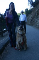 Canon EOS DIGITAL REBEL, 2009:10:03 19:40:29 -- 1/125 sec, f/8.0.  No Flash.3072x2048 Off.