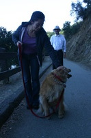 Canon EOS DIGITAL REBEL, 2009:10:03 19:40:32 -- 1/125 sec, f/7.1.  No Flash.3072x2048 Off.