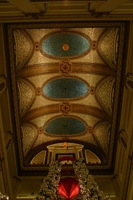 Canon EOS DIGITAL REBEL, 2009:11:21 17:24:34 -- 1/100 sec, f/6.3.  No Flash.3072x2048 Off.