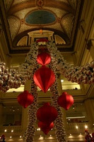 Canon EOS DIGITAL REBEL, 2009:11:21 17:24:36 -- 1/100 sec, f/5.6.  No Flash.3072x2048 Off.