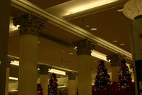 Canon EOS DIGITAL REBEL, 2009:11:21 17:25:48 -- 1/100 sec, f/7.1.  No Flash.3072x2048 Off.