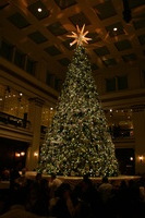 Canon EOS DIGITAL REBEL, 2009:11:21 17:27:59 -- 1/60 sec, f/4.5.  No Flash.3072x2048 Off.