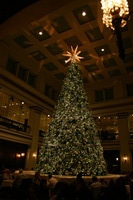 Canon EOS DIGITAL REBEL, 2009:11:21 17:28:06 -- 1/60 sec, f/5.0.  No Flash.3072x2048 Off.