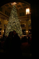 Canon EOS DIGITAL REBEL, 2009:11:21 17:28:40 -- 1/50 sec, f/4.5.  No Flash.3072x2048 Off.