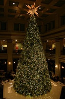 Canon EOS DIGITAL REBEL, 2009:11:21 18:14:29 -- 1/60 sec, f/5.0.  No Flash.3072x2048 Off.